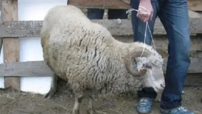 Time56.ru, фото - Новости Zakon.kz от 28.04.2018 07:26