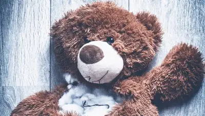 Pixabay, фото - Новости Zakon.kz от 26.02.2020 23:18