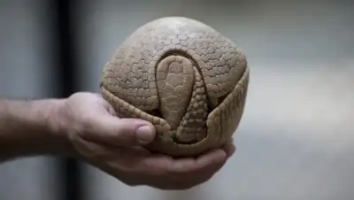 Zakon.kz, фото - Новости Zakon.kz от 02.04.2016 20:16