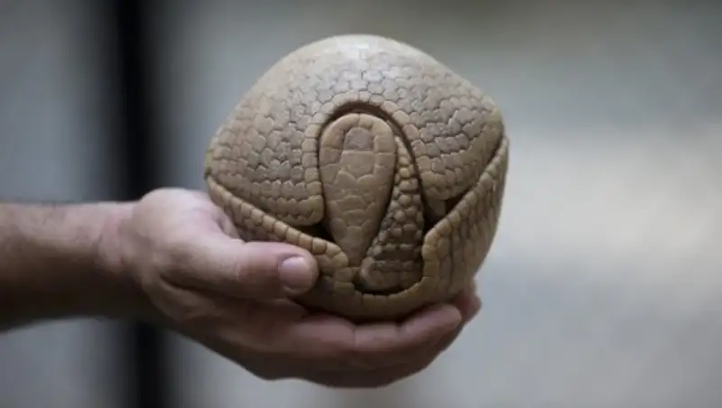 Впечатляющие фотографии, которых вы наверняка ещё не видели