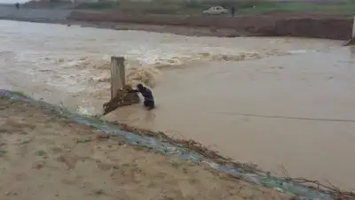 Zakon.kz, фото - Новости Zakon.kz от 18.04.2017 20:15