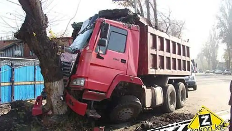В Алматы китайский грузовик, груженый землей, на полном ходу снес дерево