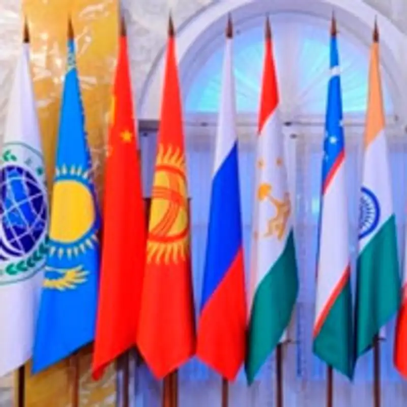 Работу ШОС сопровождает деятельность аналитических структур