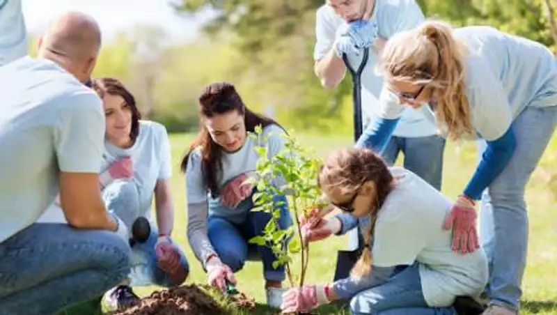 Краудфандинг в Казахстане: Даже небольшие пожертвования имеют значение