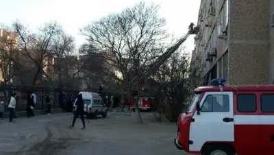 lada.kz, фото - Новости Zakon.kz от 26.03.2018 21:44