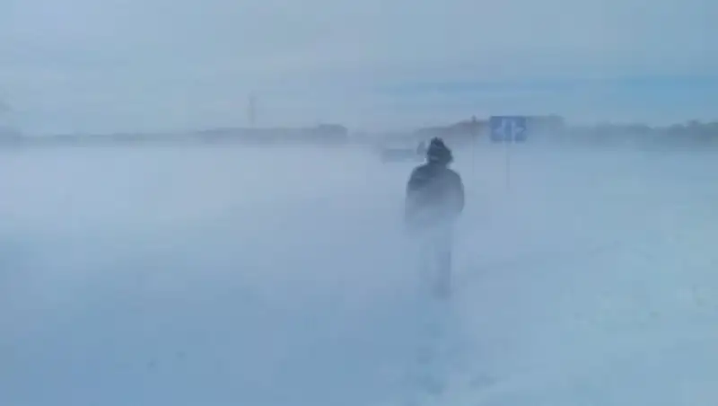 В ВКО спасли пастуха, заблудившегося в метель