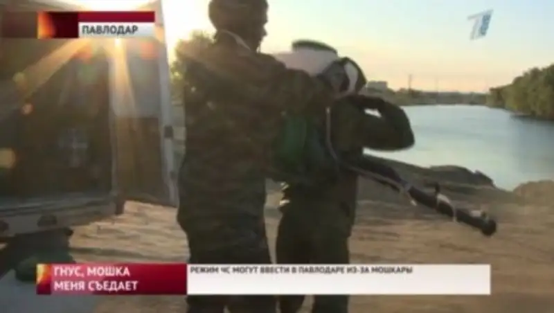 Из-за мошкары в Павлодаре собираются вводить режим чрезвычайной ситуации