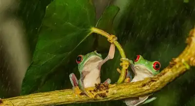 Zakon.kz, фото - Новости Zakon.kz от 09.07.2014 15:23