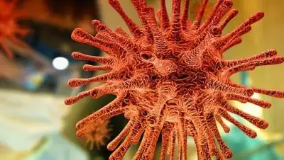 Pixabay, фото - Новости Zakon.kz от 07.01.2021 09:50