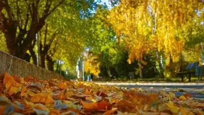 wday.ru, фото - Новости Zakon.kz от 17.09.2018 09:34