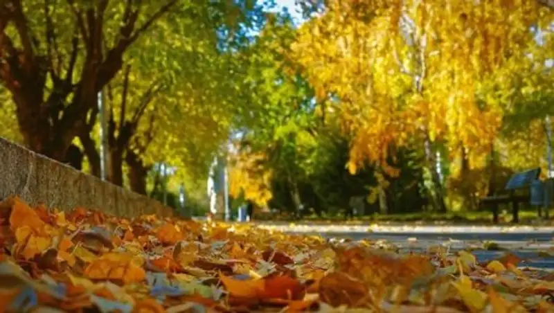 В понедельник казахстанцев ожидает погода без осадков