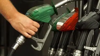 Zakon.kz, фото - Новости Zakon.kz от 20.11.2014 21:21