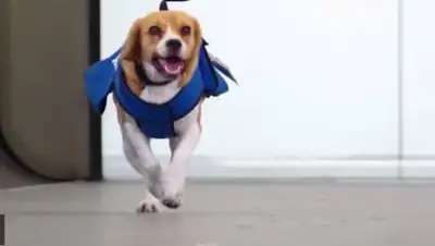 Zakon.kz, фото - Новости Zakon.kz от 28.09.2014 03:05