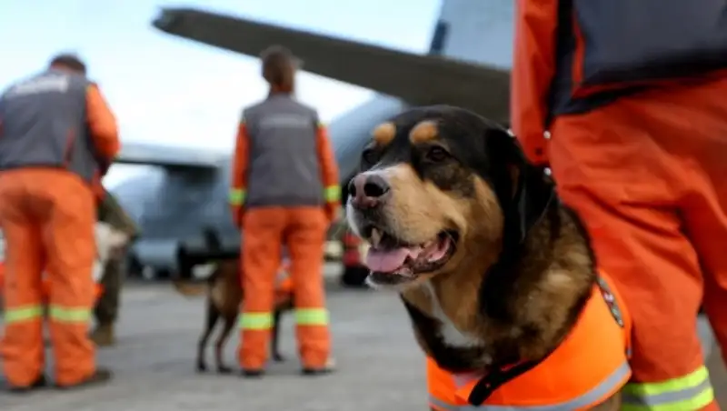 В Канаде разбился гидросамолет с шестью пассажирами на борту