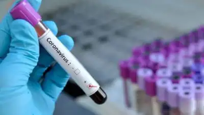 uza.uz, фото - Новости Zakon.kz от 06.10.2020 08:15