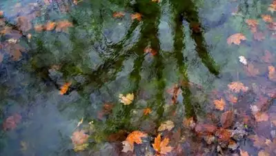 pixabay.com, фото - Новости Zakon.kz от 09.10.2020 11:48