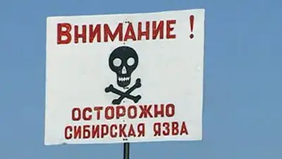 Zakon.kz, фото - Новости Zakon.kz от 02.03.2017 04:35