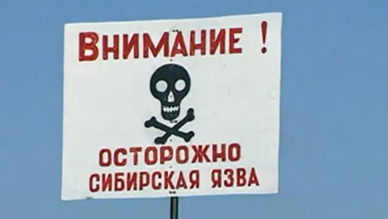 Допустивший вспышку сибирской язвы ветврач в Карагандинской области амнистирован