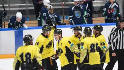 Казахстанская федерация хоккея, фото - Новости Zakon.kz от 23.10.2018 22:42