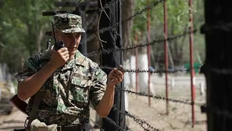 Контрабанду мяса птицы, авто запчастей и швейных машин пресекли пограничники за выходные