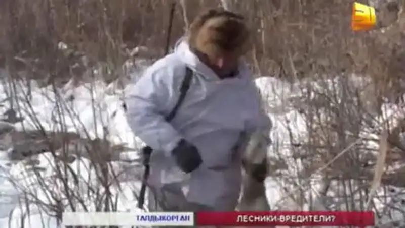 Прокуроры Алматинской области обвиняют лесников в браконьерстве