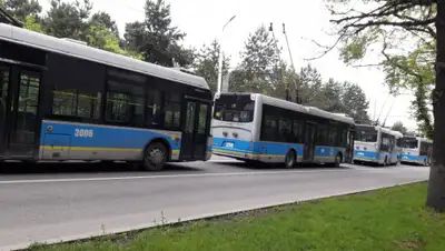 Zakon.kz, фото - Новости Zakon.kz от 04.05.2019 14:53