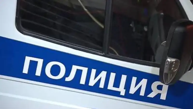 Полицейский насмерть сбил женщину в Шу и пытался скрыться