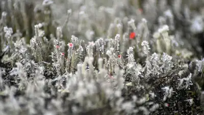 погода, фото - Новости Zakon.kz от 20.04.2022 20:57