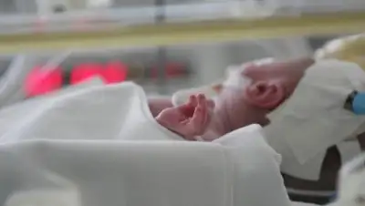 Фото с сайта inform.kz, фото - Новости Zakon.kz от 17.01.2018 18:22