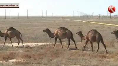 Zakon.kz, фото - Новости Zakon.kz от 22.09.2016 04:08