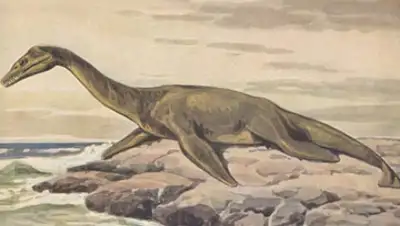 Zakon.kz, фото - Новости Zakon.kz от 02.02.2015 21:03