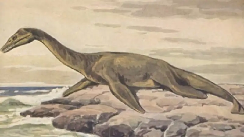 В России найдены останки ранее неизвестного морского ящера