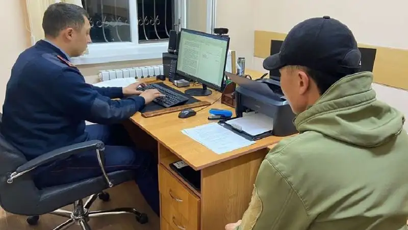 Жителя Конаева подозревают в избиении кошки до смерти