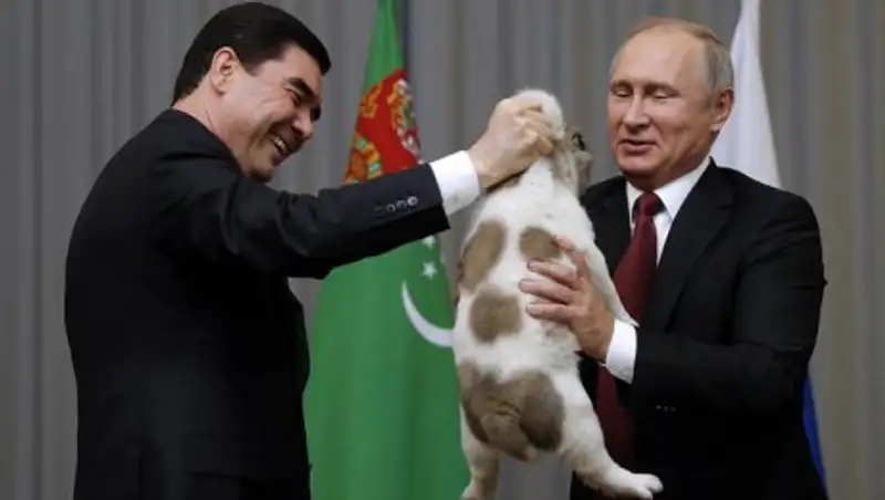 Бердымухамедов подарил Путину на день рождения щенка алабая