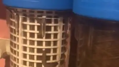 скриншот с видео, фото - Новости Zakon.kz от 17.03.2019 13:05