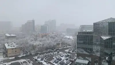 алматы, снегопад, фоторепортаж, фото - Новости Zakon.kz от 09.02.2022 15:19