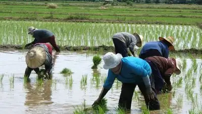 royalmile.com.ua, фото - Новости Zakon.kz от 26.09.2018 13:14