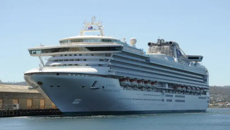 Опубликовано видео с изолированного лайнера в Японии