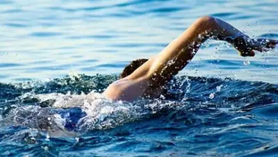 enigma-project.ru, фото - Новости Zakon.kz от 18.08.2018 09:04