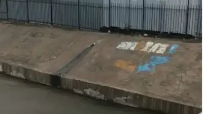 кадр видео, фото - Новости Zakon.kz от 10.09.2019 17:24