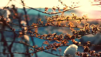 llbeagle.files.wordpress.com, фото - Новости Zakon.kz от 26.02.2020 11:42