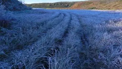 pixabay.com, фото - Новости Zakon.kz от 14.05.2021 12:08