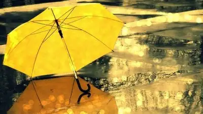 kp.kz, фото - Новости Zakon.kz от 25.09.2018 09:30