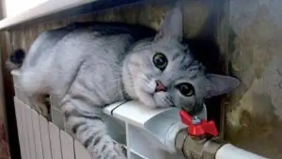 Zakon.kz, фото - Новости Zakon.kz от 22.09.2014 02:27