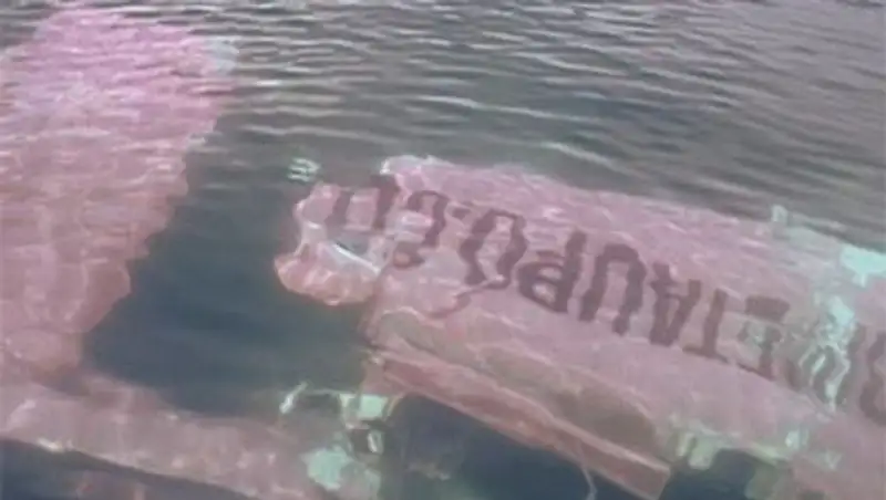 Туристы выпрыгнули из самолета за секунды до крушения