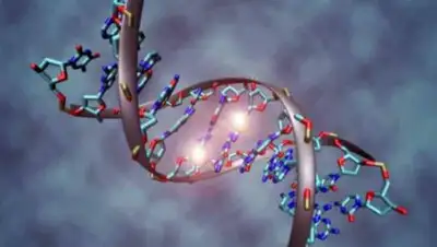 xakac.info, фото - Новости Zakon.kz от 30.01.2021 22:09