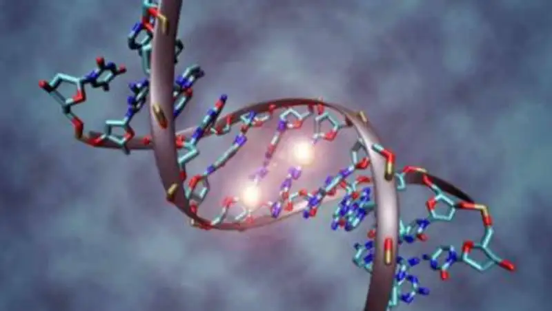 Ученые нашли способ борьбы со старением