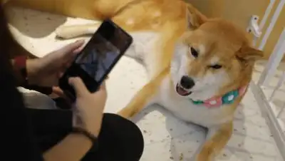 ТАСС / WU HONG/EPA, фото - Новости Zakon.kz от 02.05.2021 01:53