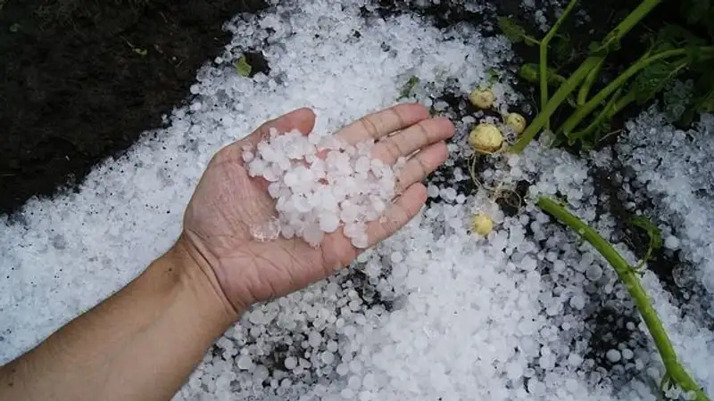 Жители Карагандинской области обсуждают выпавший град