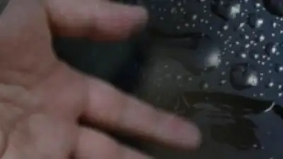 Zakon.kz, фото - Новости Zakon.kz от 19.08.2017 10:03